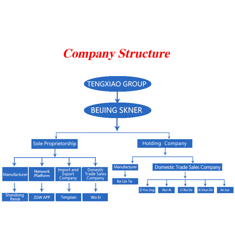 Company Structure 20240621